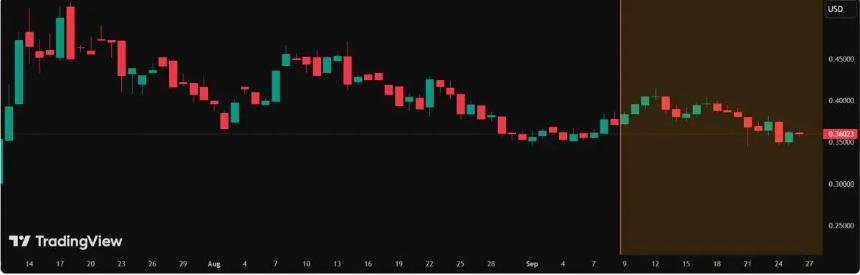现在最值得购买的加密货币是：Stellar（XLM）、SUI 还是 Remittix
