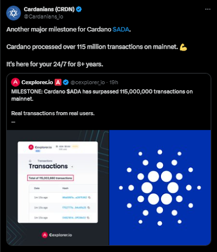 卡尔达诺价格在月度下跌20%后如何反弹？关键支撑位与市场展望