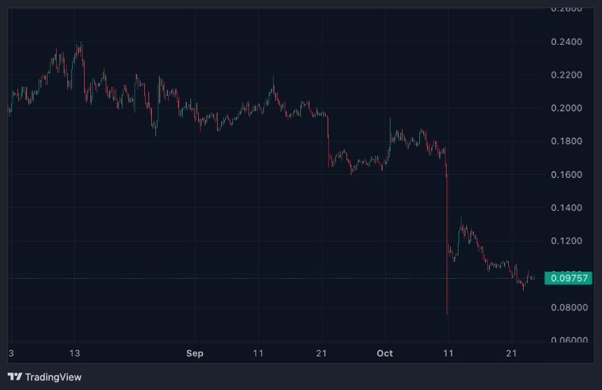  随着梅拉尼娅代币资金流出，最值得购买的表情包币 
