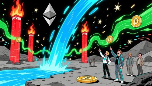 以太坊在代币持有者增长中的主导地位：稳固的长期投资价值