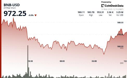 BNB代币价格在市场波动中短暂下跌后回升至970美元上方