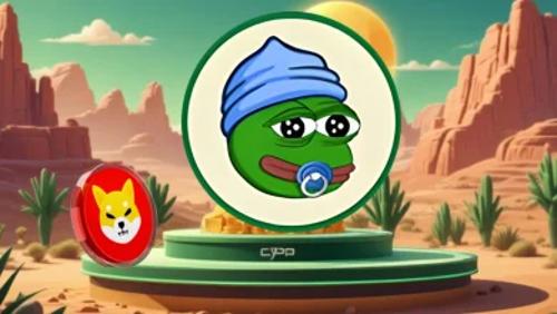 500美元投资SHIB还是LI<span class='keyword'>LPEP</span>E？哪种表情包币能在一年内让你赚到5万美元？