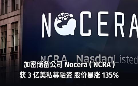 水产公司 Nocera 完成 3 亿美元私募融资，聚焦数字资产战略与潜在收购
