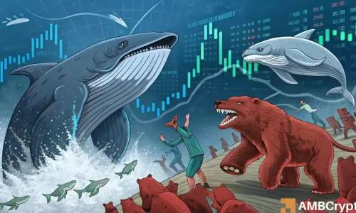 IP价格今日为何上涨？揭秘新合作关系与巨鲸需求的推动作用