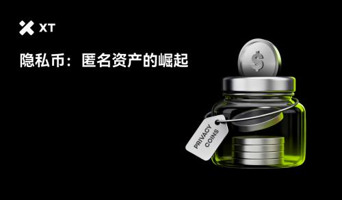 隐私加密货币价格飙升：市场与趋势深度剖析
