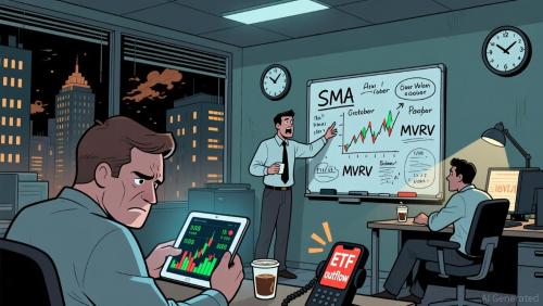 比特币在关键支撑位的短期波动与机构韧性分析