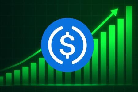 Circle：USDC借力Arc区块链与全球合作伙伴实现强劲增长