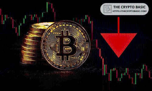 CryptoQuant首席执行官：比特币回调并非熊市信号，资金流入仍是关键