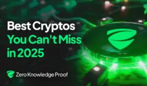 2025年最值得关注的四大加密货币：零知识证明 (ZKP)、Cardano (ADA)、Polygon (POL) 和 Polkadot (DOT)