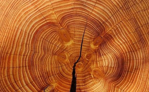 2025年11月市场分析：<span class='keyword'>比特币</span>抛售、贵金属热潮与股市动态