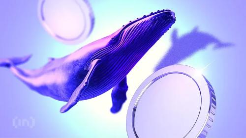 11月三大低市值山寨币突破长期积累区间，引发市场关注