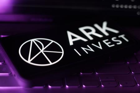 ARK Invest逆势加仓BitMine股票，870万美元资金注入彰显加密市场信心