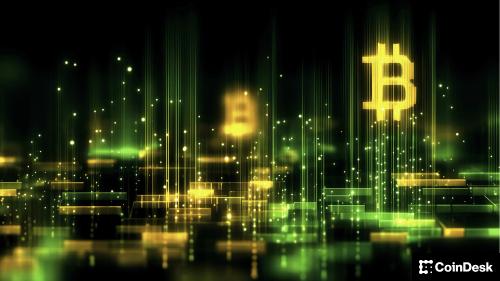 2025年加密货币前景分歧：尼克·卡特与凯文·麦考迪克的观点碰撞