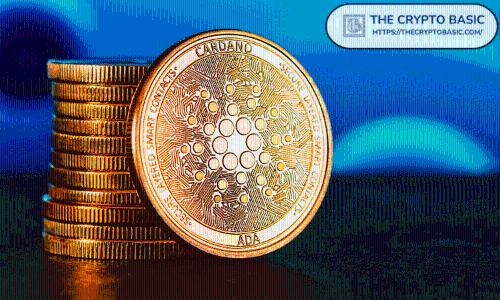 专家解析：Cardano 投资者因忽视风险管理损失 1440 万 ADA