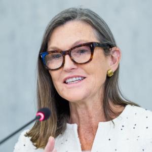 Cathie Wood旗下Ark Invest：机构投资者或将平衡比特币市场抛售压力