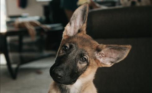 亚洲早间简报：比特币暴跌引发市场情绪急剧重置