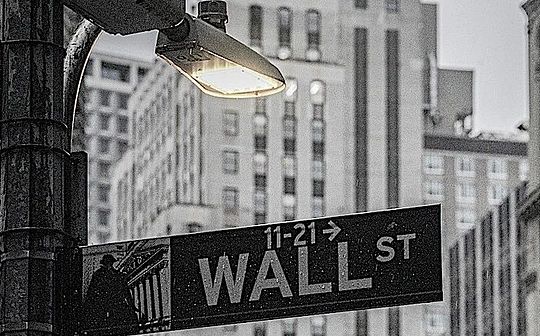  柴犬送上圣诞祝福，普莱斯进入冬眠 